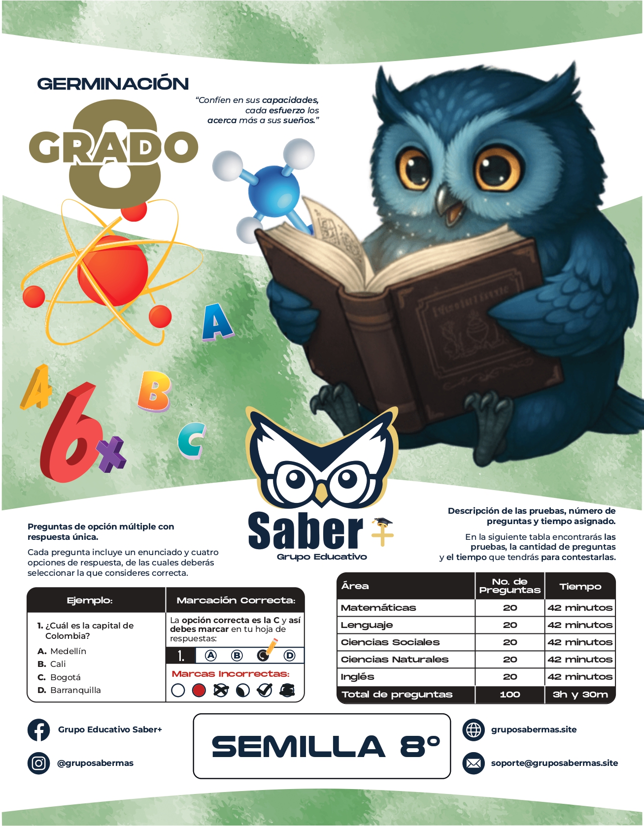 Prueba periódica Grado 8